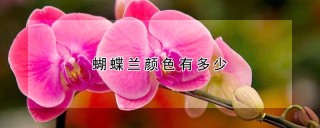 蝴蝶兰颜色有多少,第1图