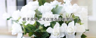 栀子花晚上可以放在卧室里吗,第1图