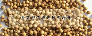 香菜籽不砸开种可以吗,第1图