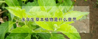 多年生草本植物是什么意思,第1图