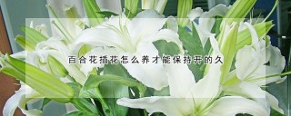 百合花插花怎么养才能保持开的久,第1图