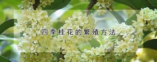 四季桂花的繁殖方法,第1图