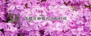 芝樱花种植方法和时间,第1图