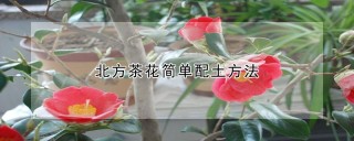 北方茶花简单配土方法,第1图