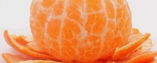 橘子里面白色的东西叫什么,第1图
