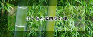 竹子怎么做防腐处理,第1图