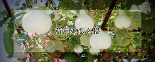 葫芦架怎么搭,第1图