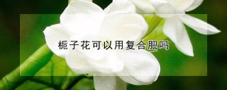 栀子花可以用复合肥吗,第1图