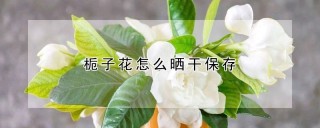 栀子花怎么晒干保存,第1图